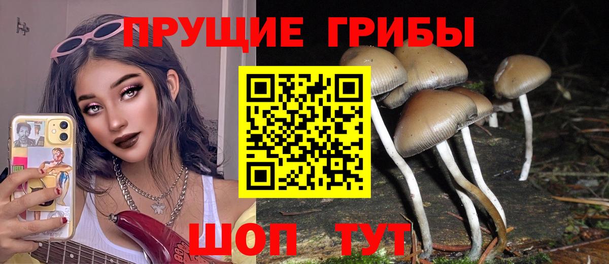 Красноярск  Псилоцибиновые грибы прущие грибы  Вход с VPN 